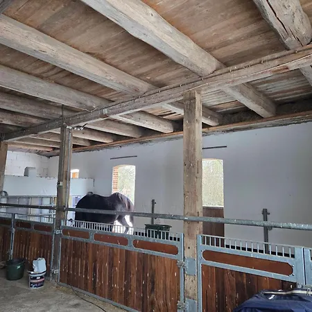 Apartment Noltenius Monteurswohnung