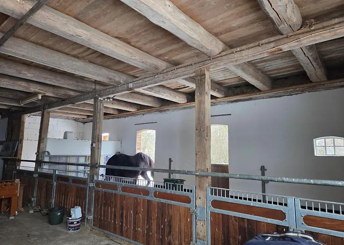 Apartment Noltenius 2